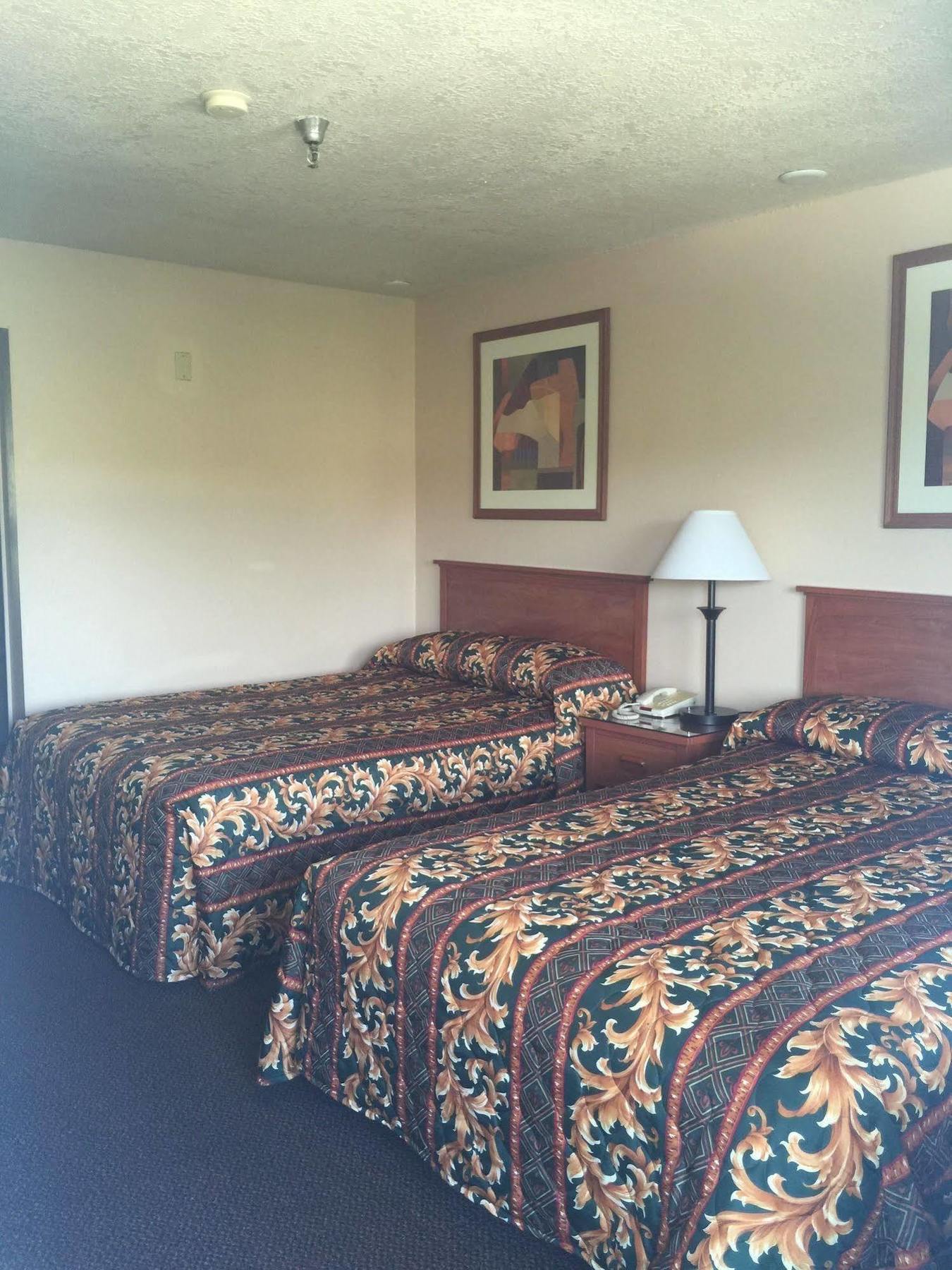 Riverleaf Inn Mission Valley Сан-Диего Экстерьер фото